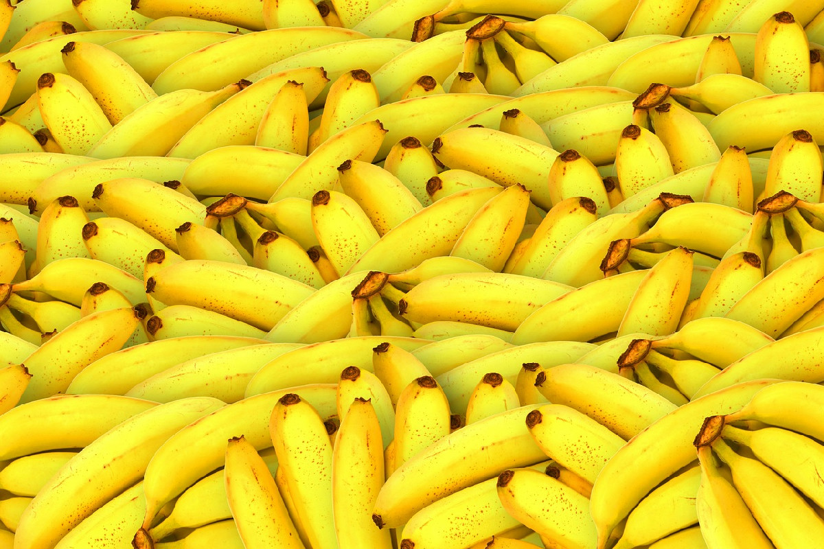 Quali sono i benefici di mangiare banane ogni giorno